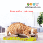 cat cardboard scratching pad