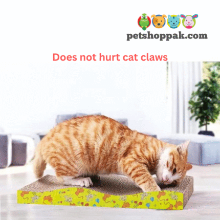 cat cardboard scratching pad