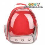 pet carrier plain bag for cats