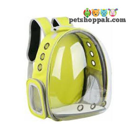 pet carrier plain bag for cats