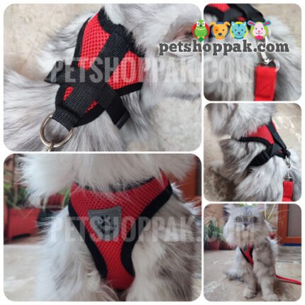 Cat dog chester breatherable fabric 4