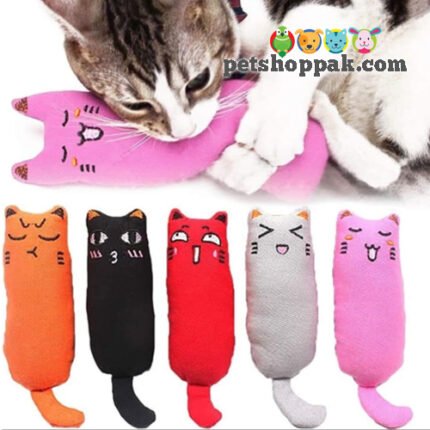 Cat Plush Catnip toy