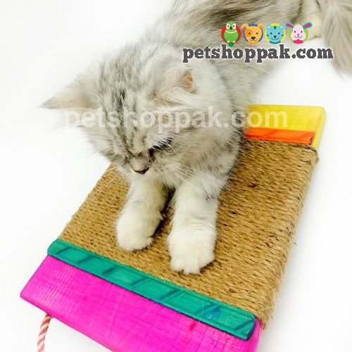 cat scratching pad 1 cat scratching pad 1