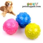 dog rubber paw ball toy1