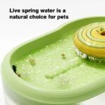 Snail Design Cat Water Fountain