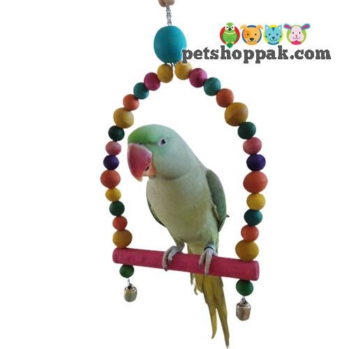 parrot toys d swing large parrot toys d swing large