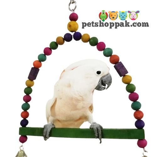 parrot toys d swing xxl parrot toys d swing xxl