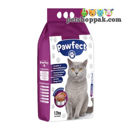 Pawfect cat