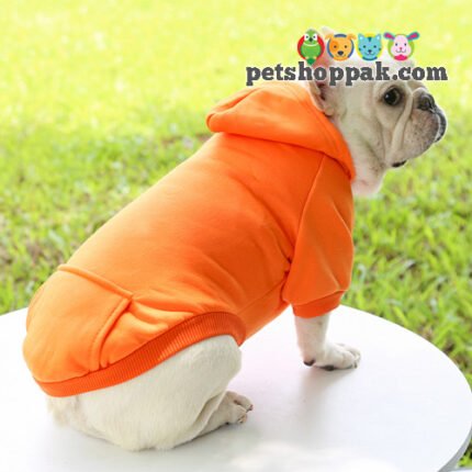 Pet winter hoodie plain 2