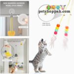 Interactive Hanging Cat toy