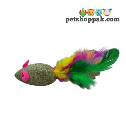 Catnip mouse furry toy