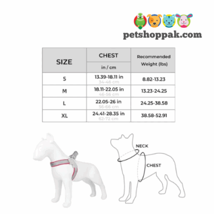 nunbell-chester-size-chart