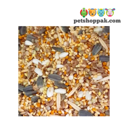 birdie small parrots seeds