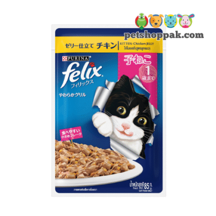 Felix Kitten with Chicken in Jelly