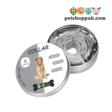 cat dog flea tick collar