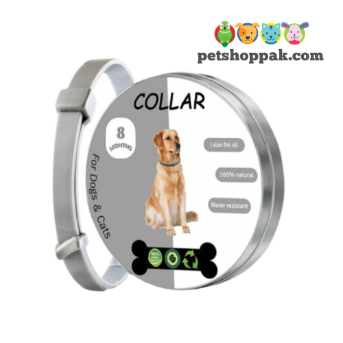 Flea Tick Collar for Cat and Dog Flea Tick Collar for Cat and Dog