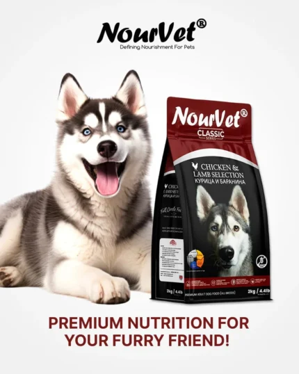 NourVet Dog Chicken and Lamb Selection