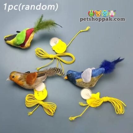 Sounding Bird with elastic cat toys